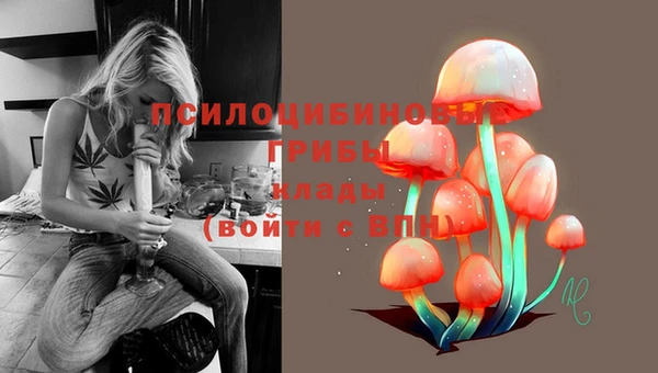 PSILOCYBIN Богородск