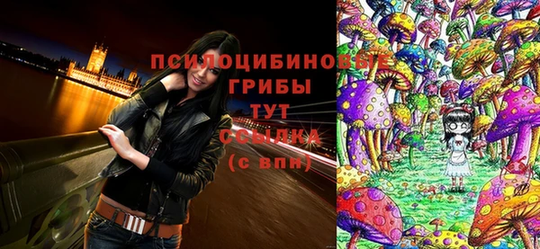 гашик Алзамай
