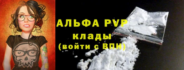 ешки Гусь-Хрустальный
