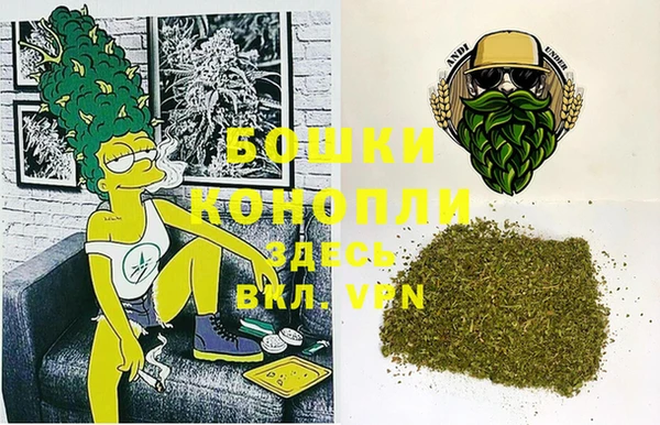 PSILOCYBIN Богородск