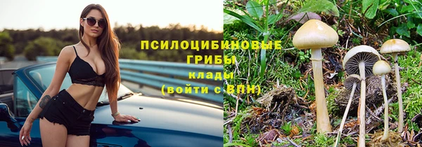 молекула духа Арсеньев