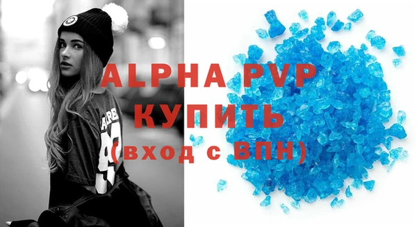 молекула духа Арсеньев