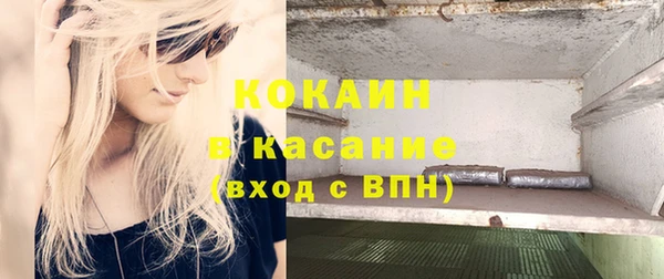 молекула духа Арсеньев