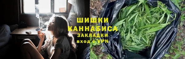 PSILOCYBIN Богородск