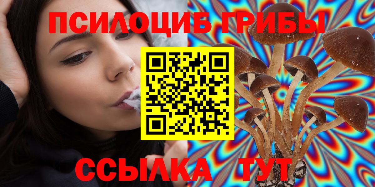 Псилоцибиновые грибы прущие грибы  Вход с VPN  продажа наркотиков  Петропавловск-Камчатский 