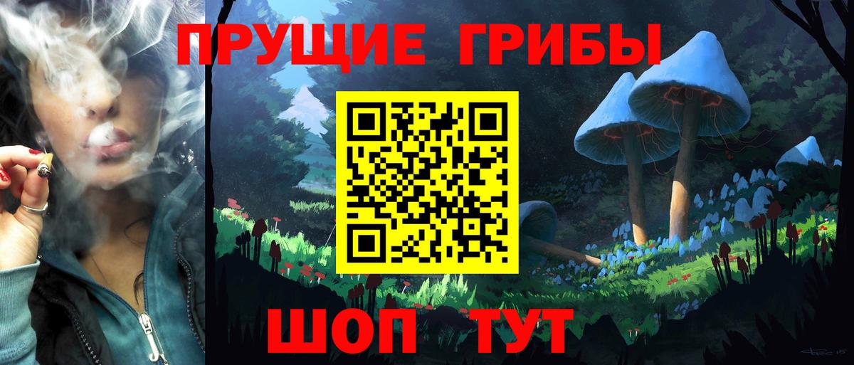 Псилоцибиновые грибы мухоморы Петропавловск-Камчатский
